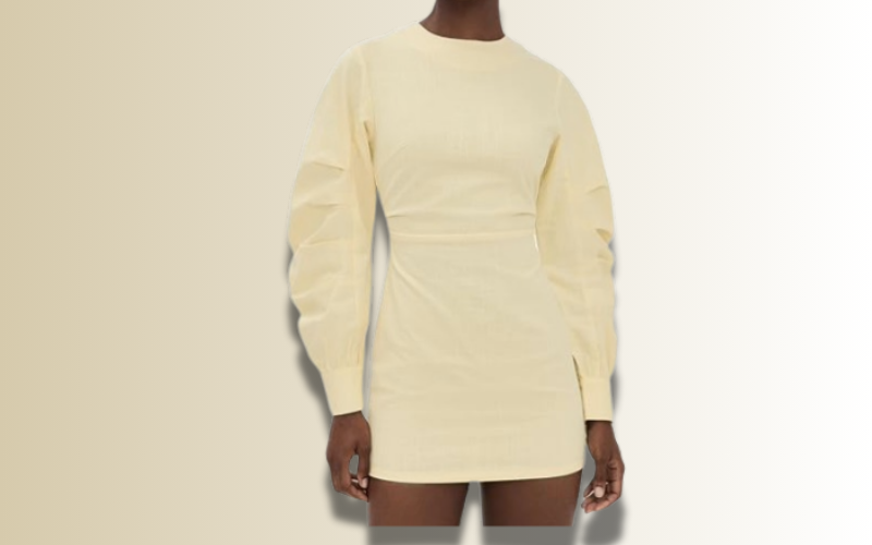 The Only LIONESS Dress Worth Splurging On in 2026